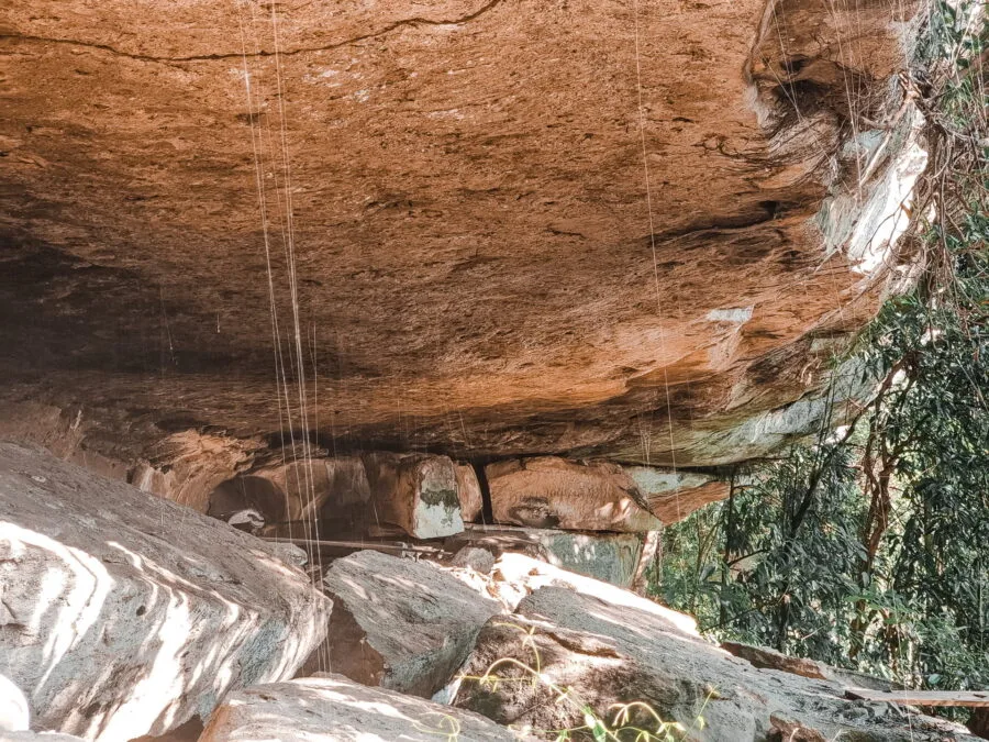 Spider webs, Phou Phanan viewpoints, Laos