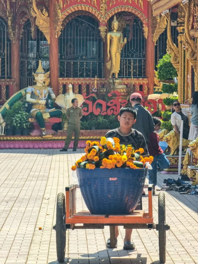 transportation of flowers offerings vat simuong vientiane
