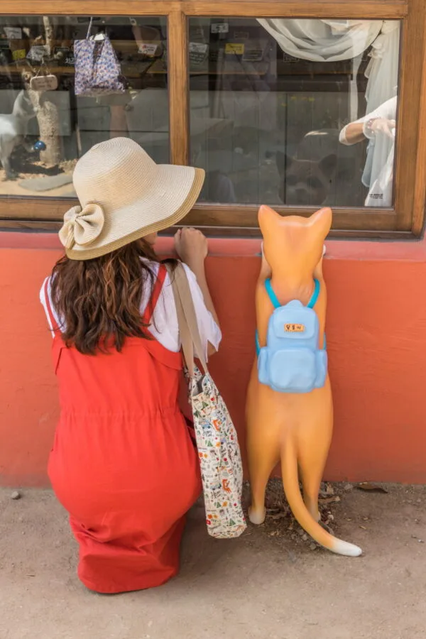 unknown takes photo with cat statue gamcheon bakery