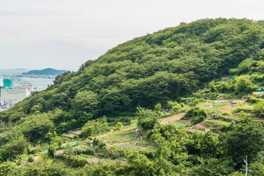 culture zone village gamcheon busan