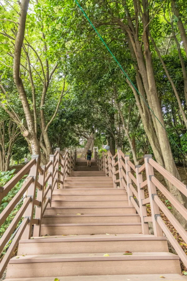 stairs leading to yongdusan park busan