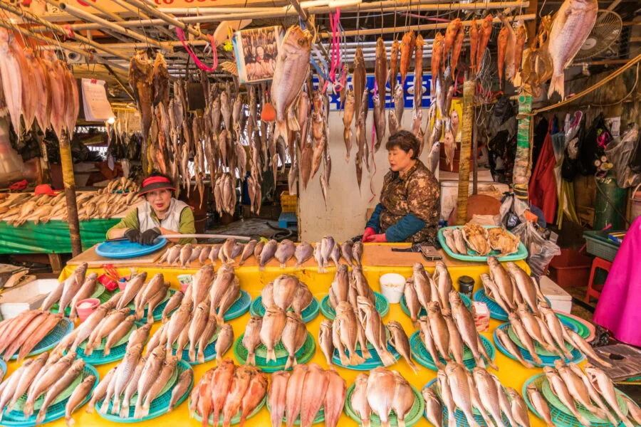 fish stall jagalchi market busan