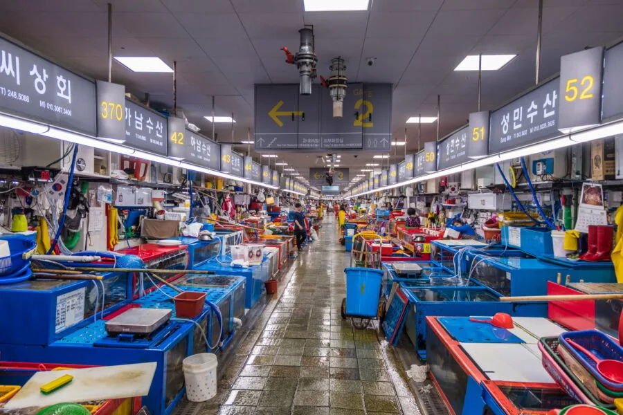 interior jagalchi fish market busan