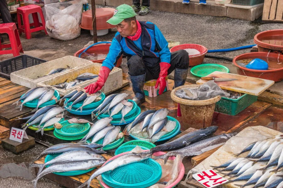 fishmonger outdoor part fish market jagalchi busan