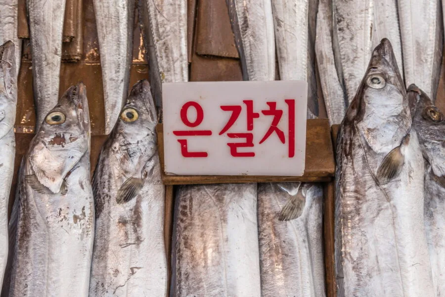 fish market jagalchi busan