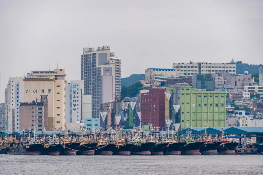 view from jagalchi market busan