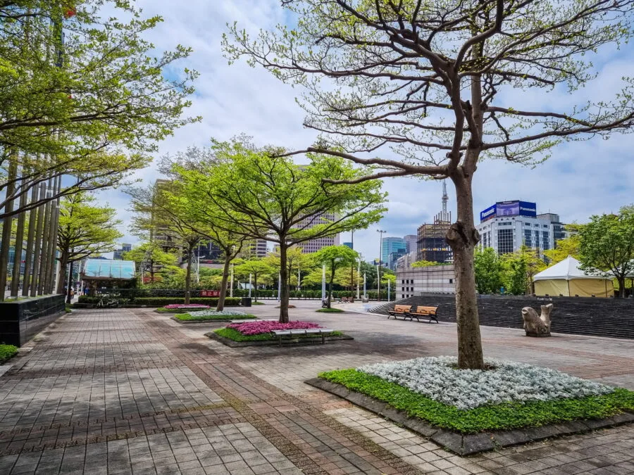 tree landscaping downtown taipei taiwan