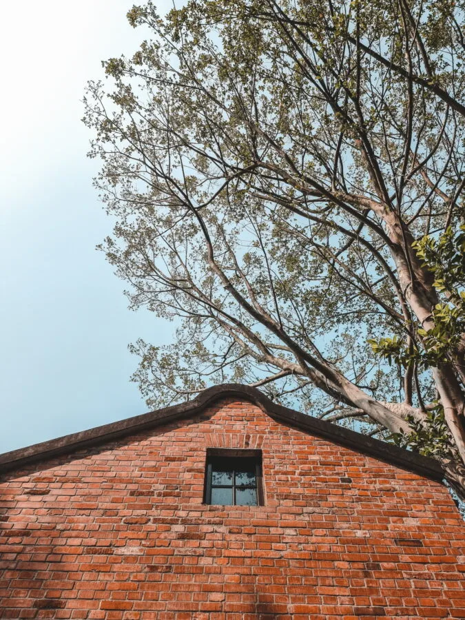 old roof rongjin gorgeous time taipei