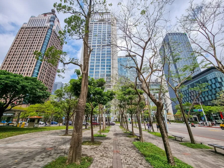 trees district downtown taipei taiwan