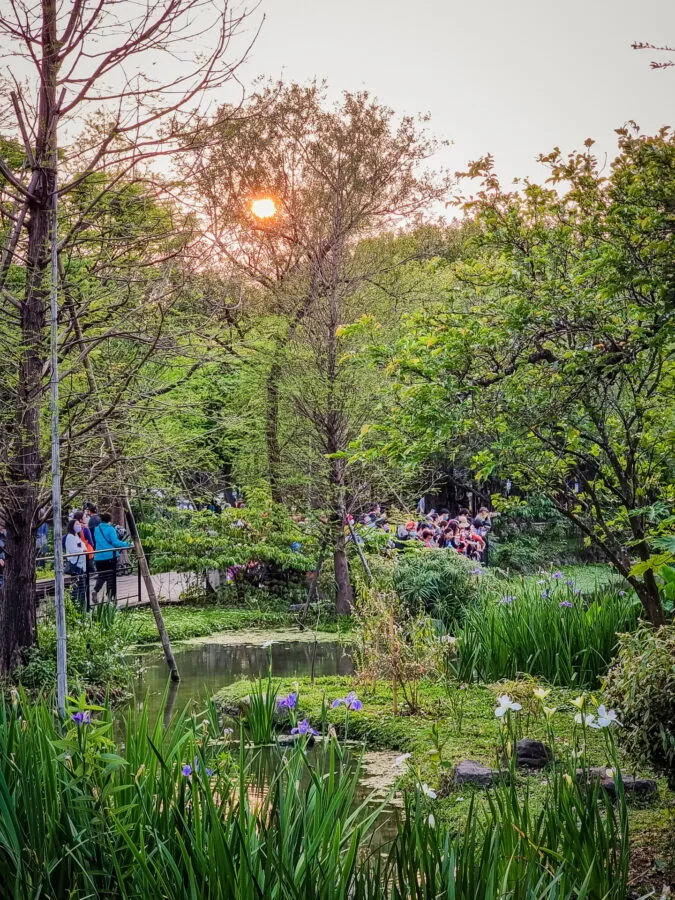 walk pond daan park taipei