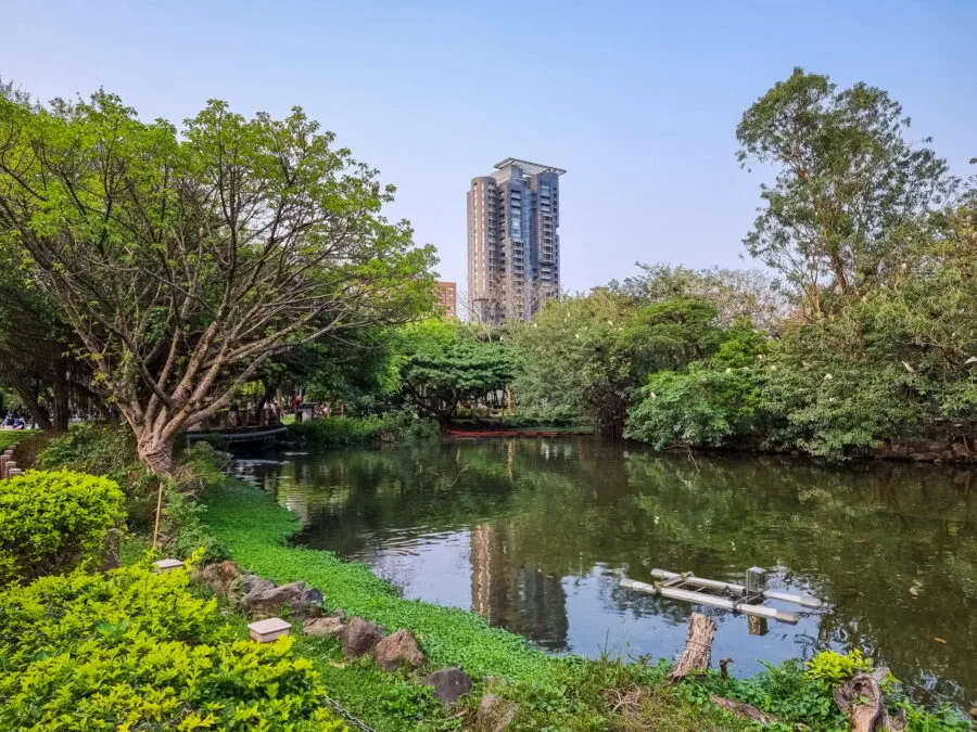 daan park taipei pond