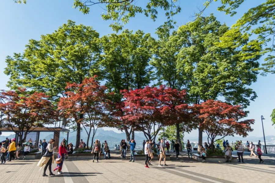 place surrounding seoul tower