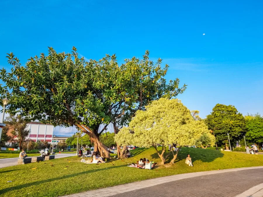 vegetation Yuanshan Park Area taipei taiwan