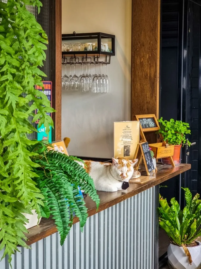 cat frontage b1 ocean cafe bitou taiwan