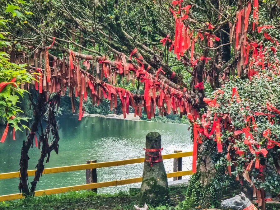 red ribbon trees shifen waterfall
