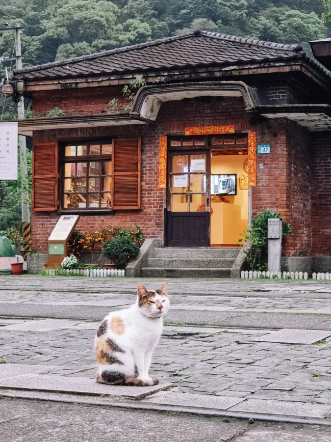 houtong village information center taiwan
