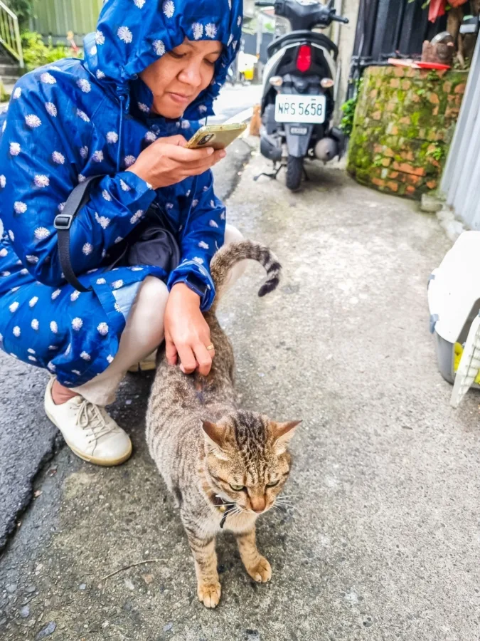 welcoming cat houtong taiwan