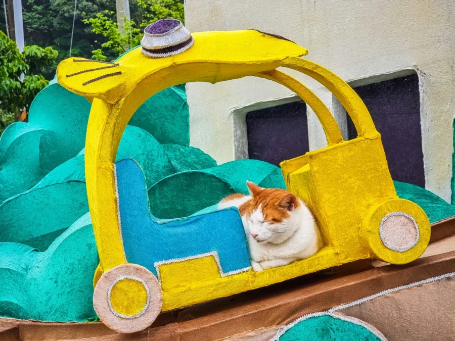cat posed in front of houtong museum taiwan