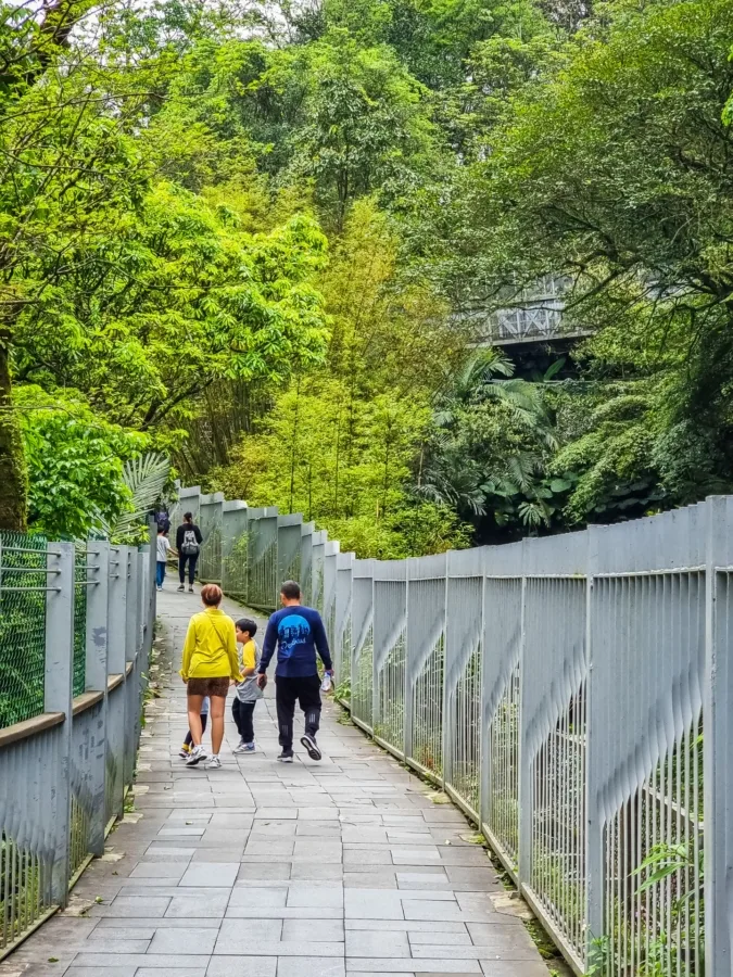 path leading foot shifen waterfall taiwan