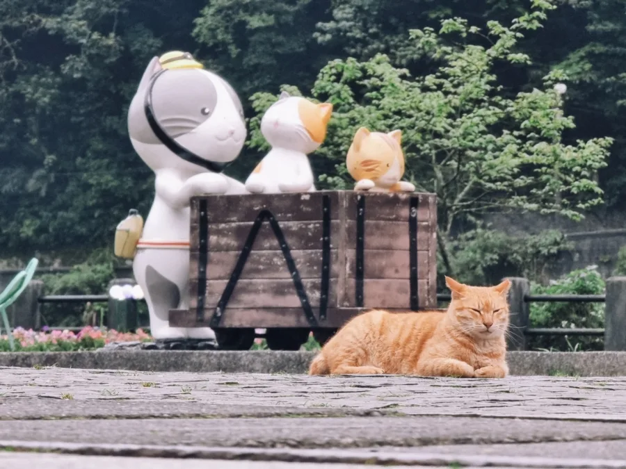 figurines and real cat in houtong taiwan