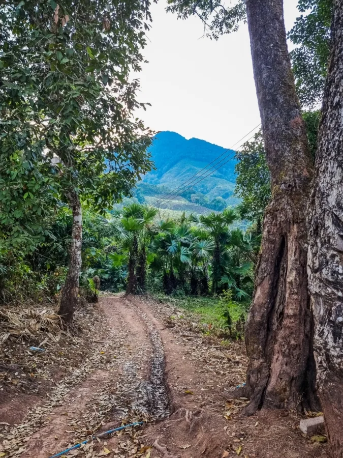 path to the village ban pa kam nan thailand