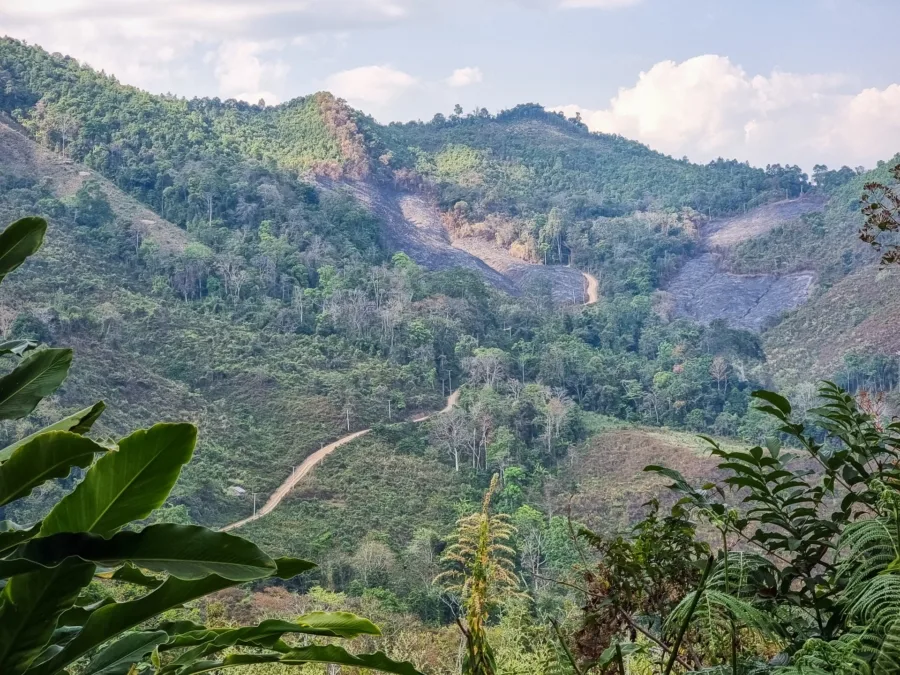 small road to baan pa kam nan village