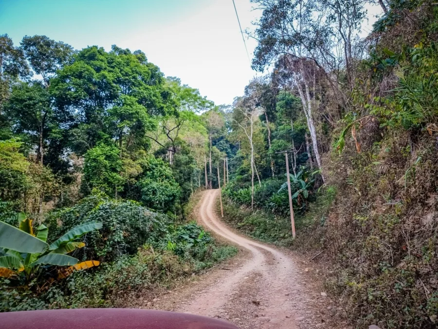road passing forest return village ban pa kam nan thailand