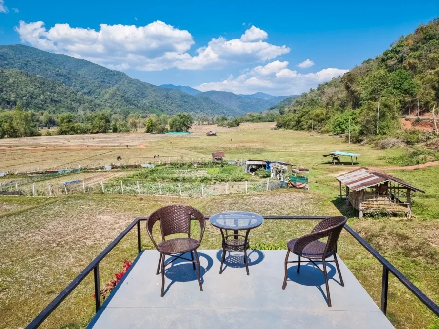 view of rice fields near bo kluea nan