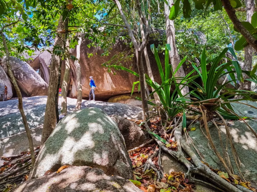 arrival at the top viewpoint on ko similan