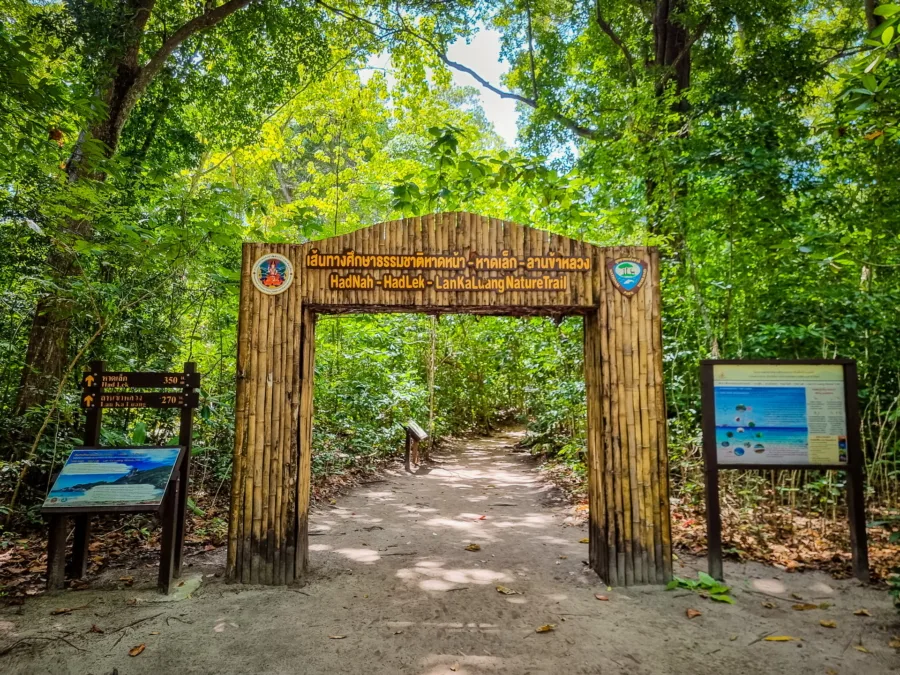 entrance path leading to had lek on ko miang to the similan