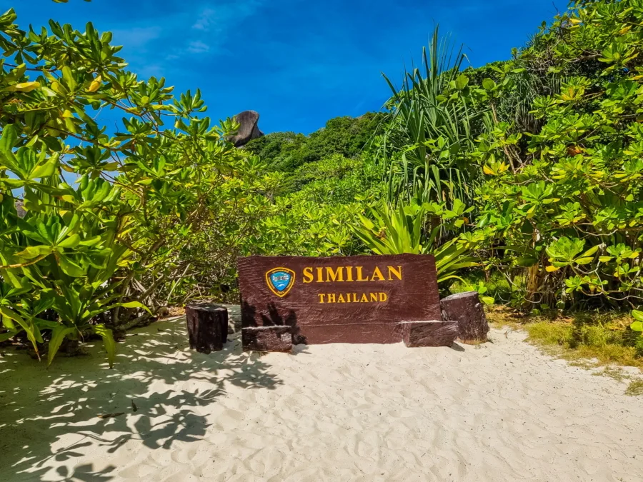 similan thailand panel