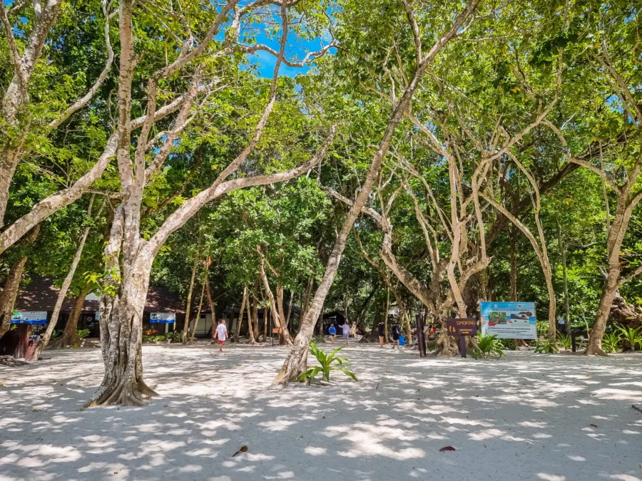 shaded part of beach ko similan thailand