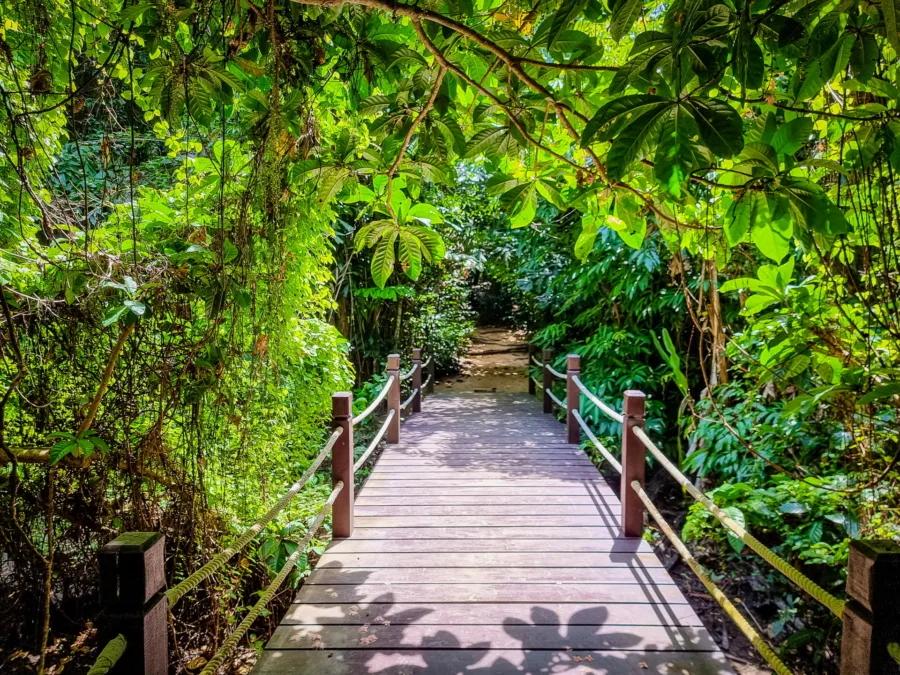 small bridge leading from had lek to ko miang to the similan