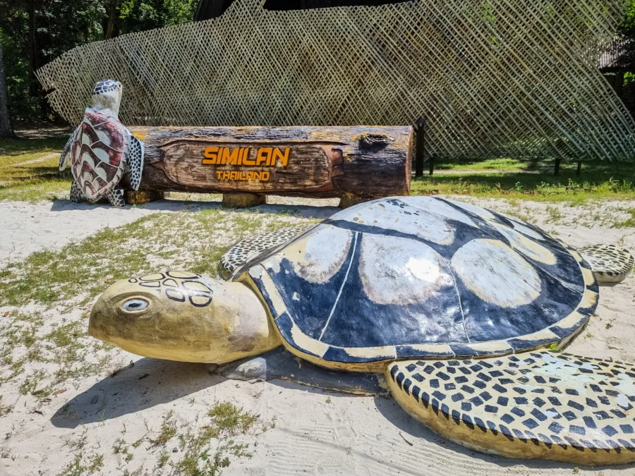 turtle statue in front of similan sign thailand