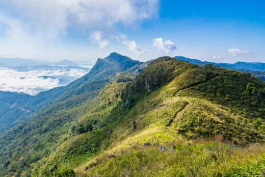 doi pha tang north thailand