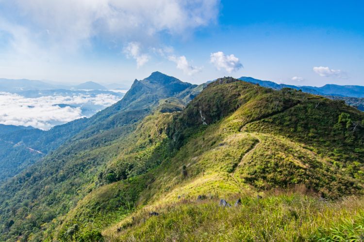 doi pha tang nord thailande