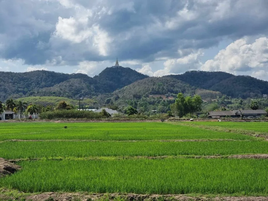 wat phrathat my phrachao lai road chiang rai chiang mai