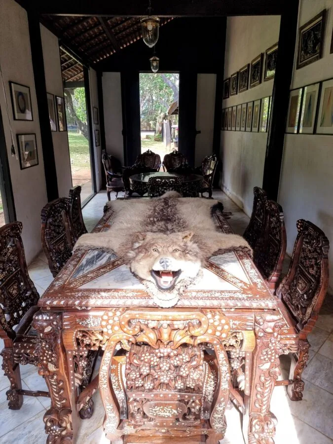 wolf skin at the baan dam museum chiang rai