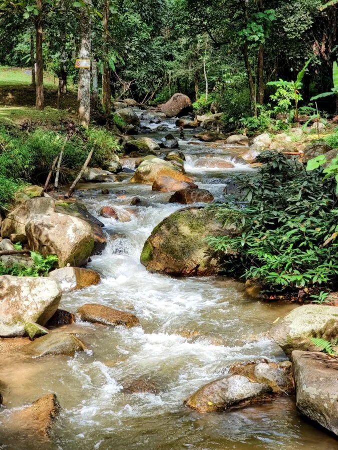 stream entrance park khun korn waterfall chiang rai