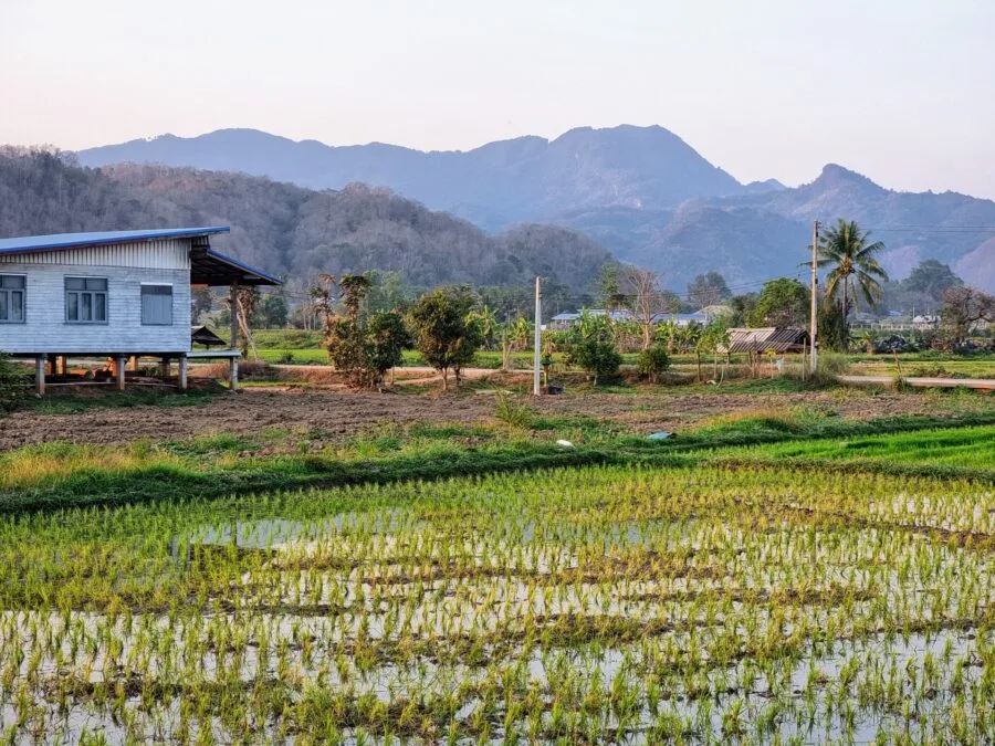 view from the green season resort mae chan chiang rai