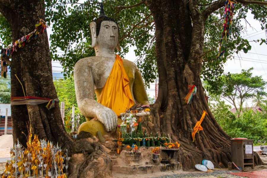 buddha in vat sisumang champassak laos