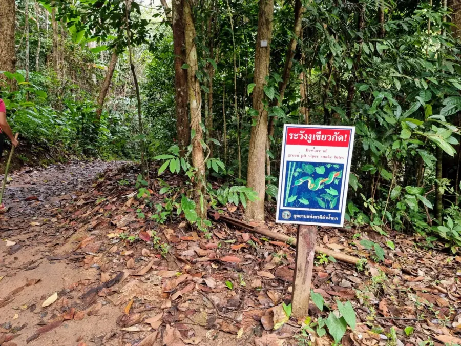 panneau attention serpent trek khun korn waterfall chiang rai
