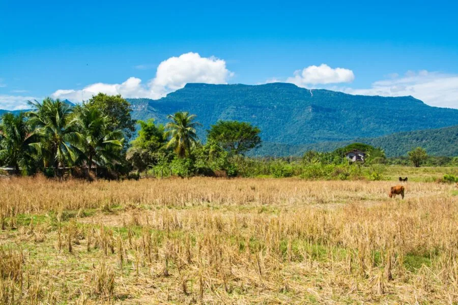 landscape of Champassak, southern Laos