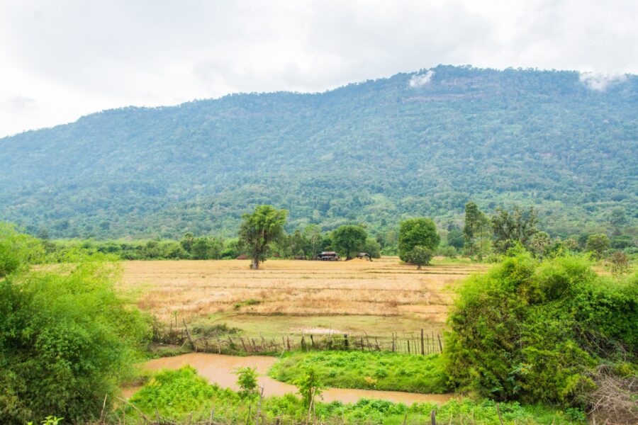 paysage entre paksé et champassak laos