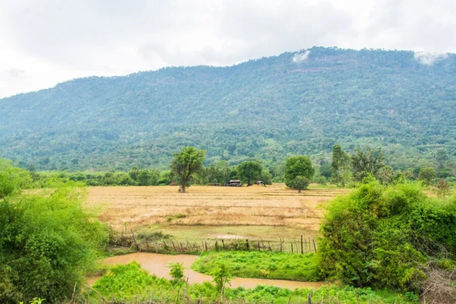 landscape between pakse and champassak laos