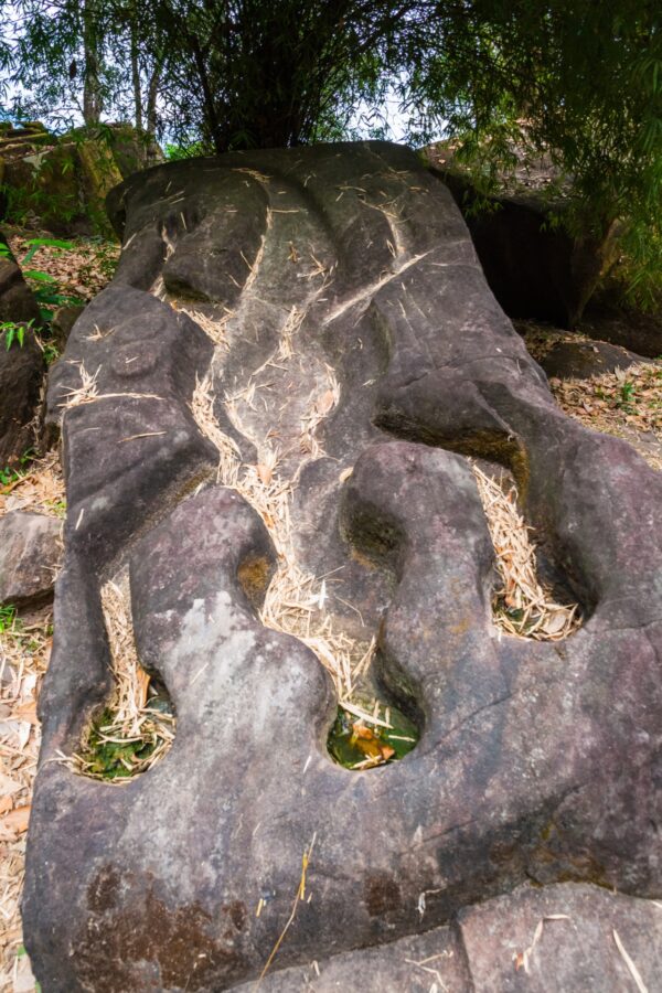 sculpture lezard dans roche au vat phou champassak