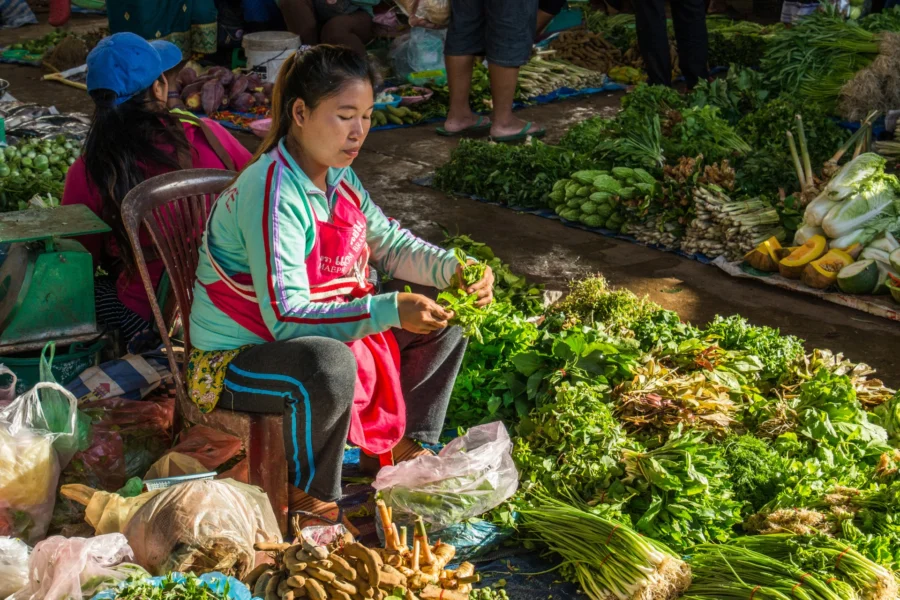 vendeuse de salade au marché dao hueang de paksé