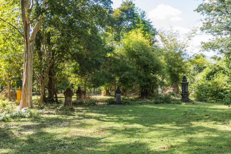 autour du vat pa phonsamek a don daeng champassak