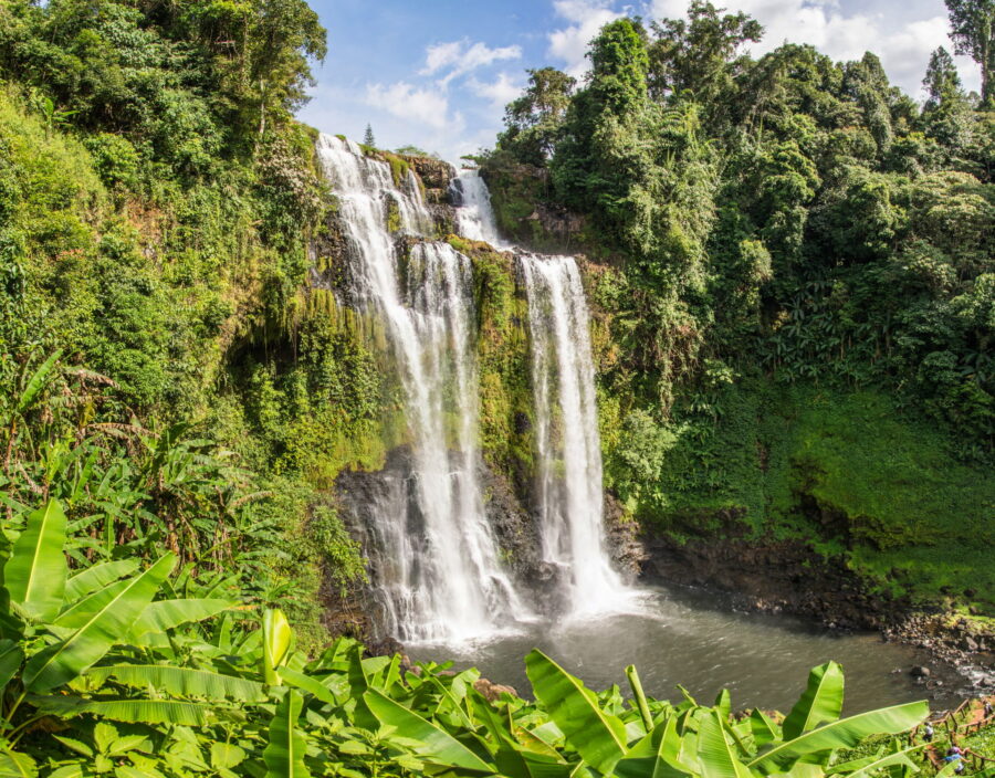 cascade tad yuang plateau des bolovens laos