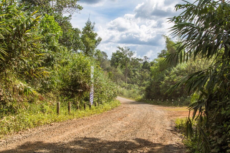 chemin menant tad yuang waterfall laos